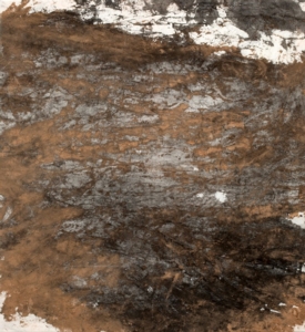 16706.jpg
